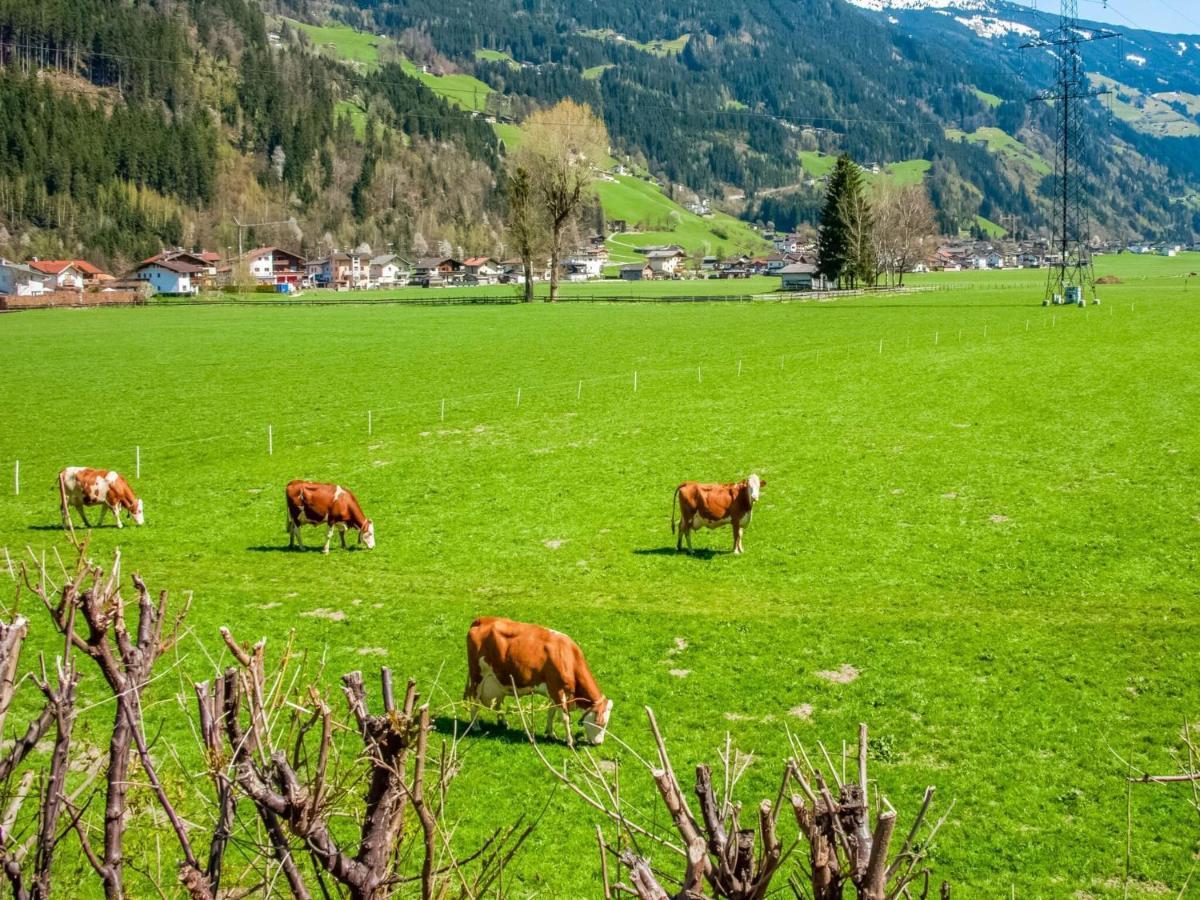 Beautiful Apartment In Ramsau With Balcony Ramsau im Zillertal Dış mekan fotoğraf